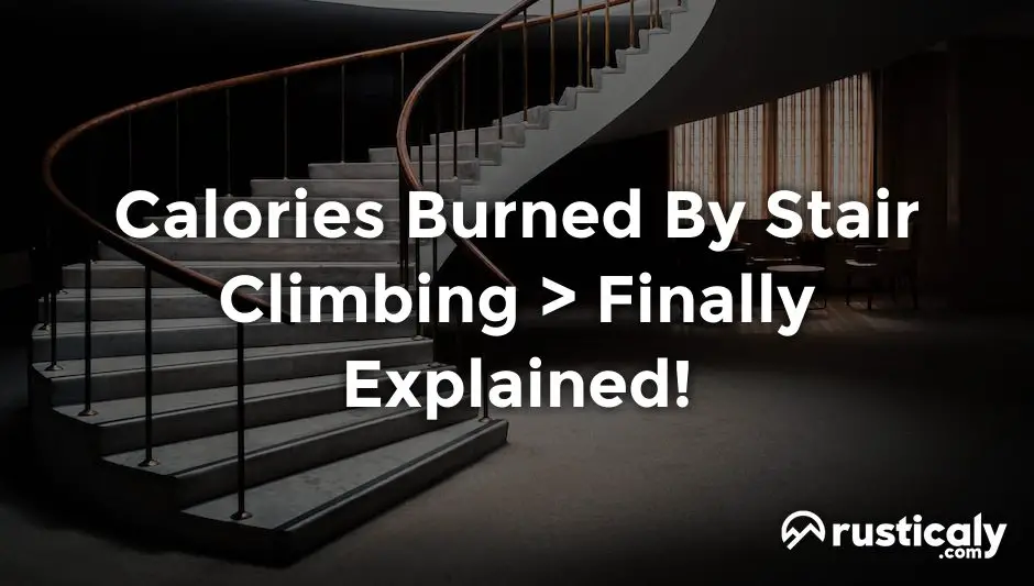 calories burned by stair climbing