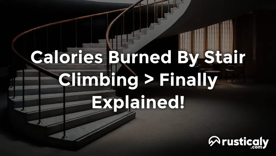 Calories Burned By Stair Climbing Explanation Revealed calories-burned-by-stair-climbing-explanation-revealed
