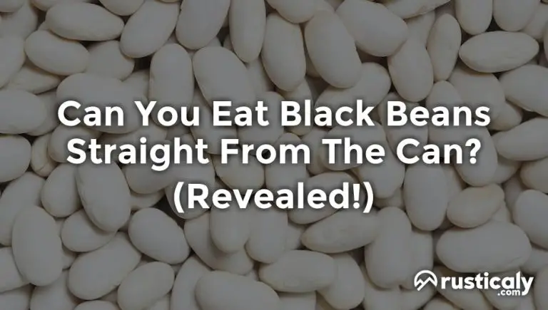 Can You Eat Black Beans Straight From The Can? Fully Explained