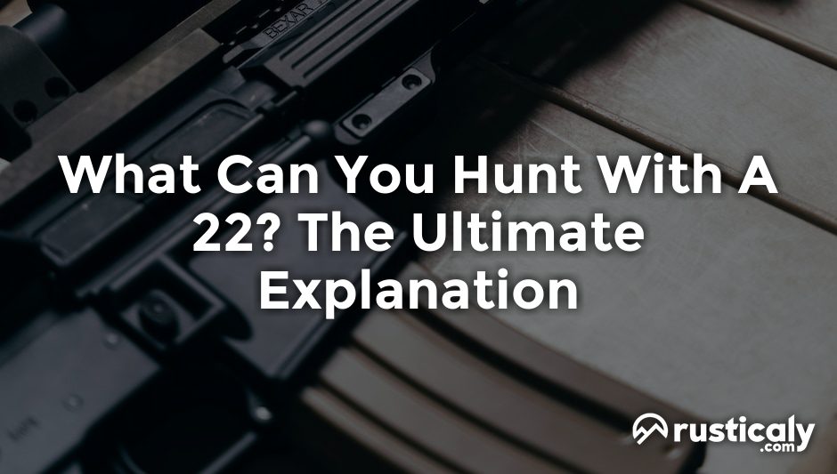 what can you hunt with a 22