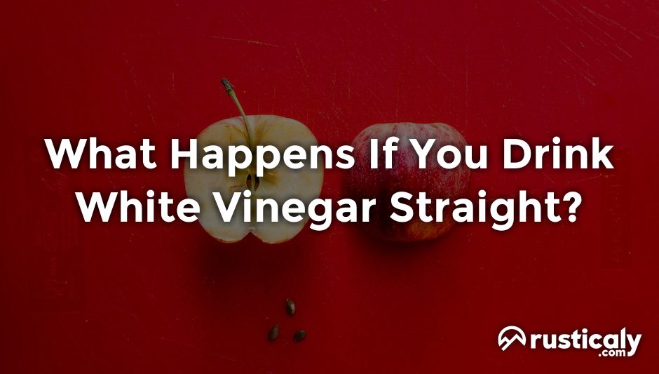 what happens if you drink white vinegar straight