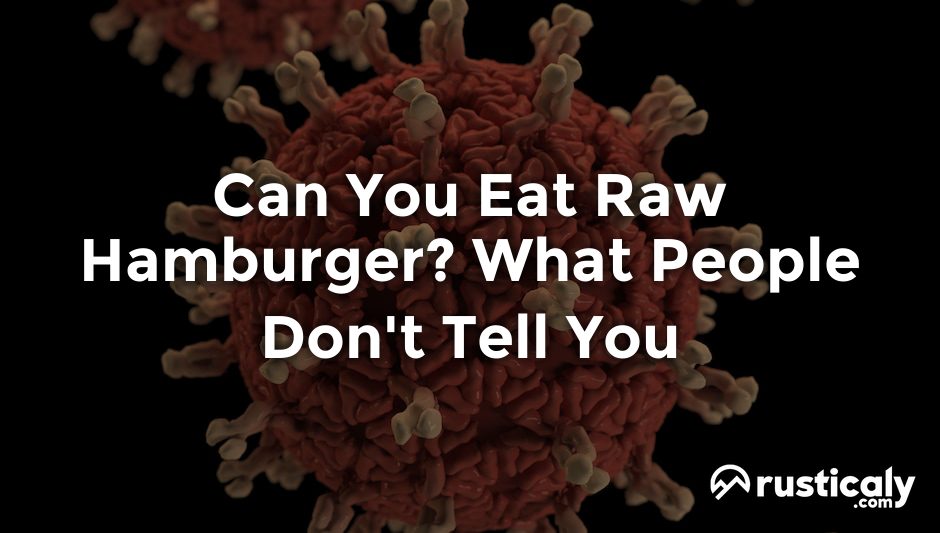 can you eat raw hamburger