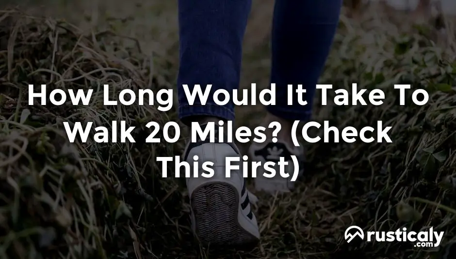 how long would it take to walk 20 miles