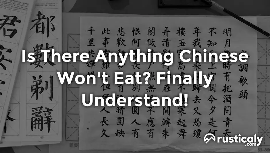 is there anything chinese won't eat