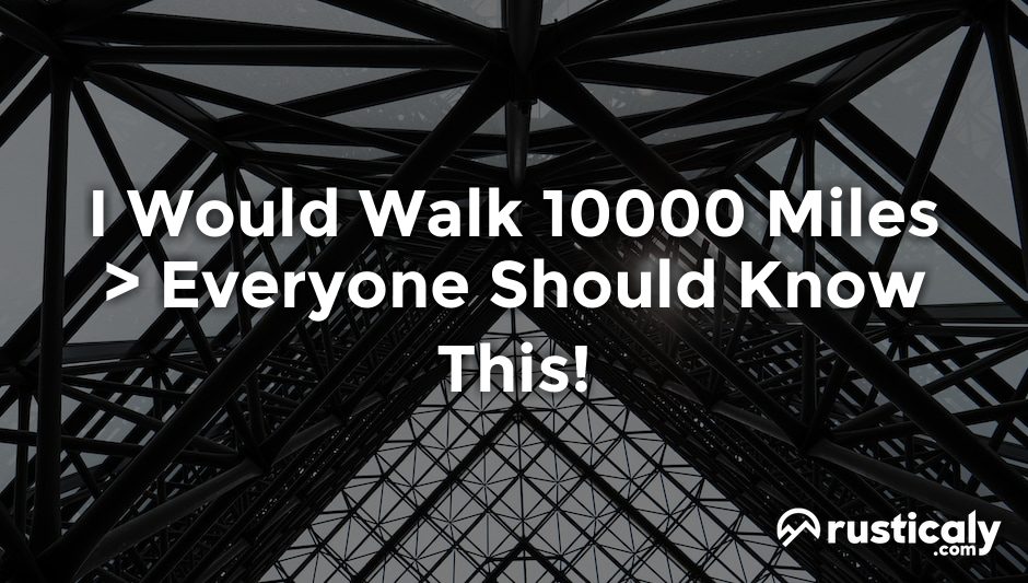 i would walk 10000 miles