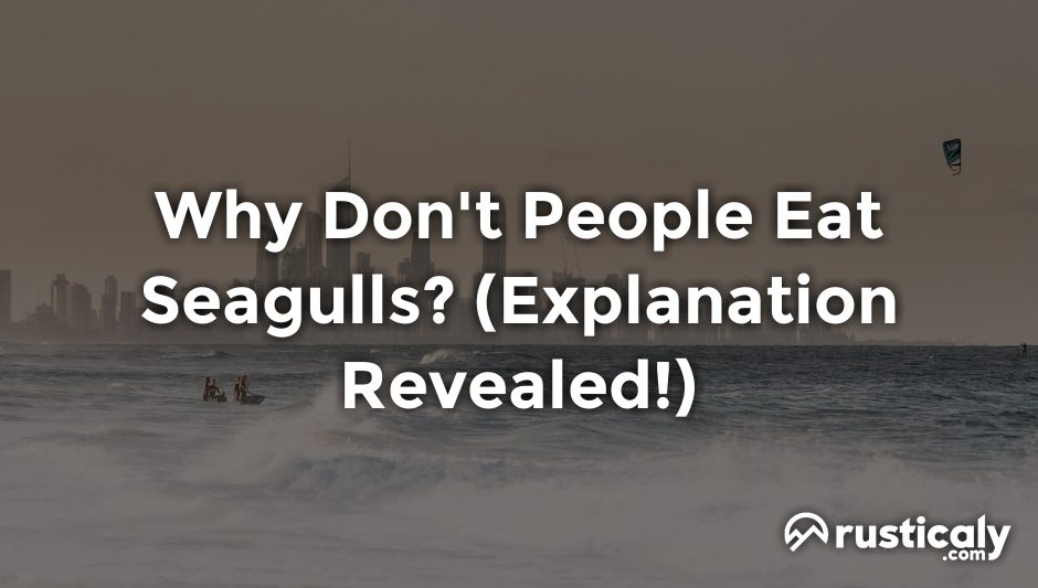 why don't people eat seagulls