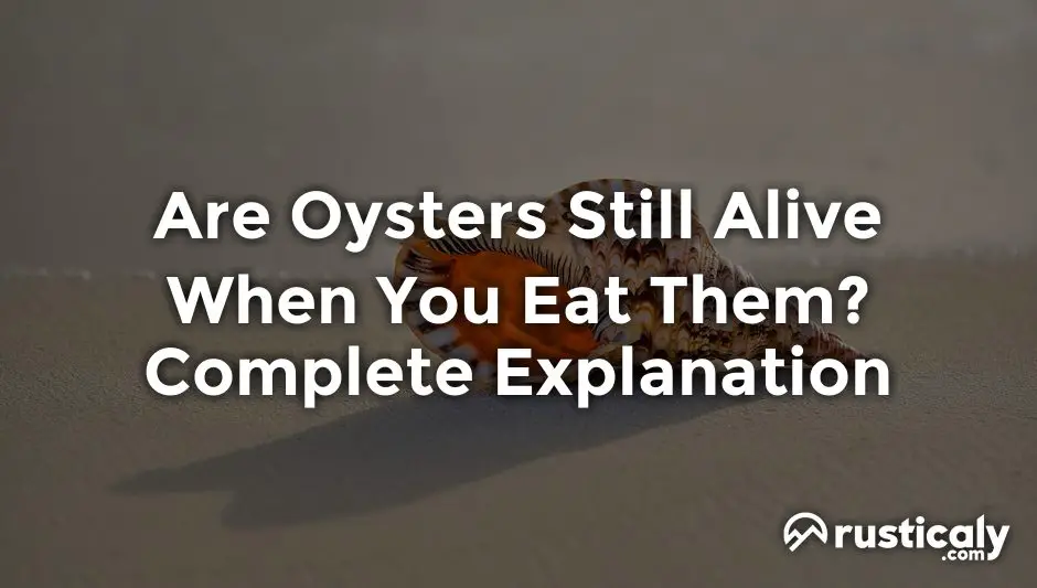 are oysters still alive when you eat them