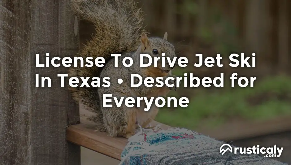 license to drive jet ski in texas