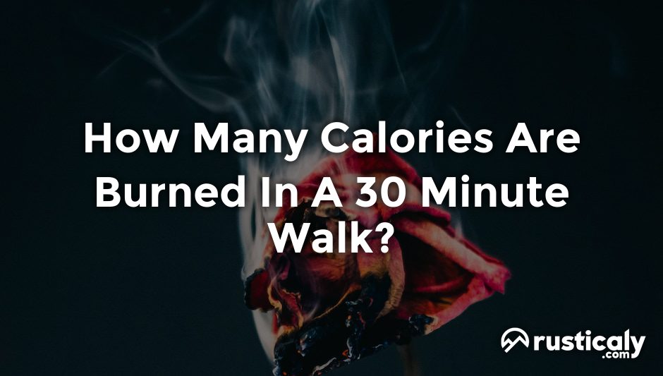 how many calories are burned in a 30 minute walk