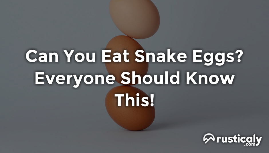 can you eat snake eggs