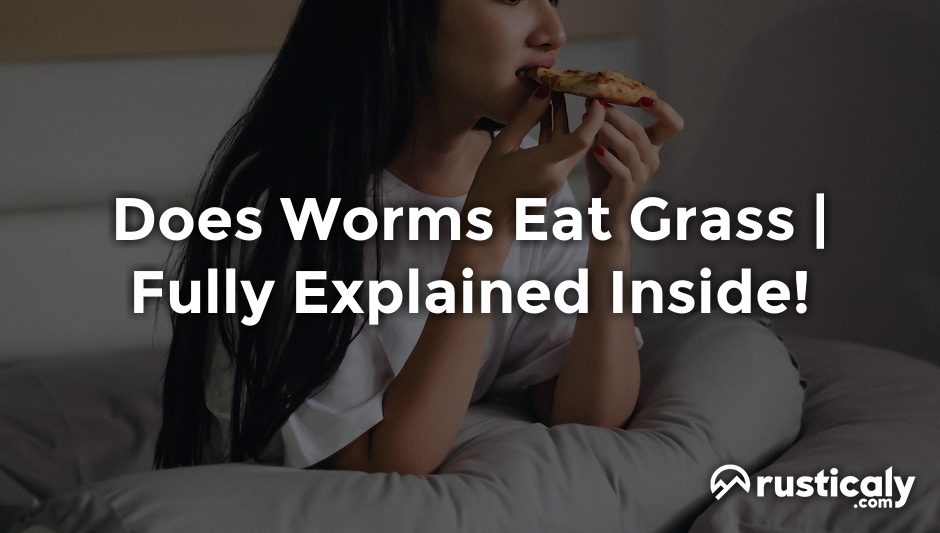 does worms eat grass