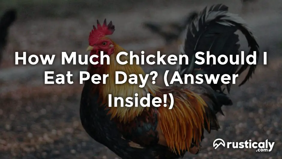 how much chicken should i eat per day