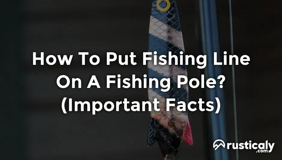 How To Put Fishing Line On A Fishing Pole? Complete Explanation