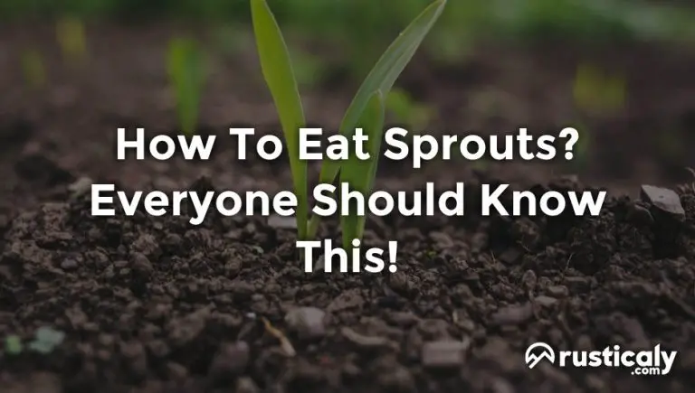 how to eat sprouts
