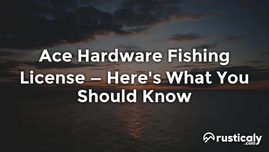 ace hardware fishing license