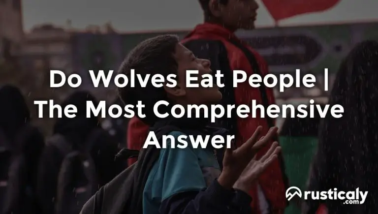 do wolves eat people