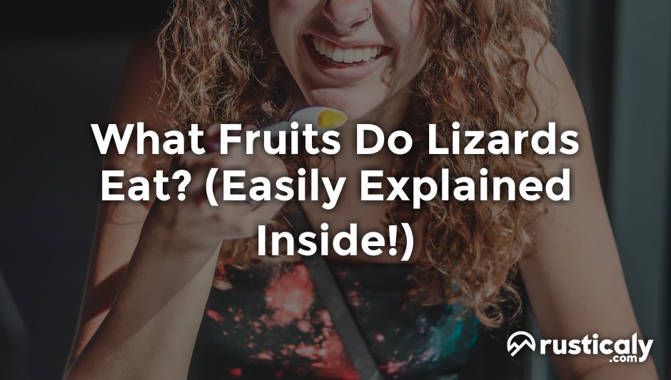 what fruits do lizards eat