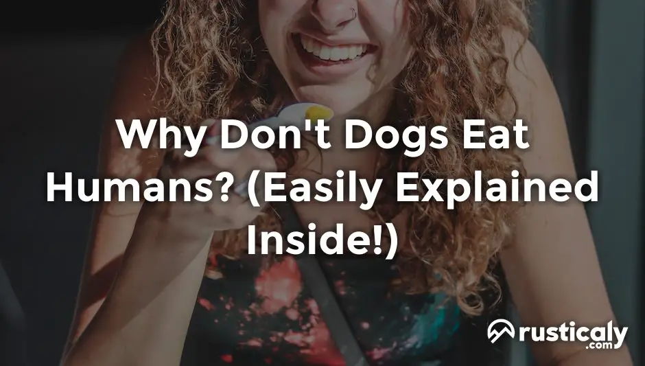 why don't dogs eat humans