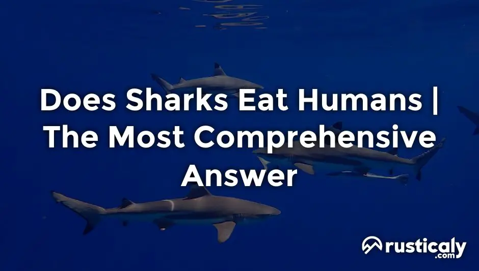does sharks eat humans