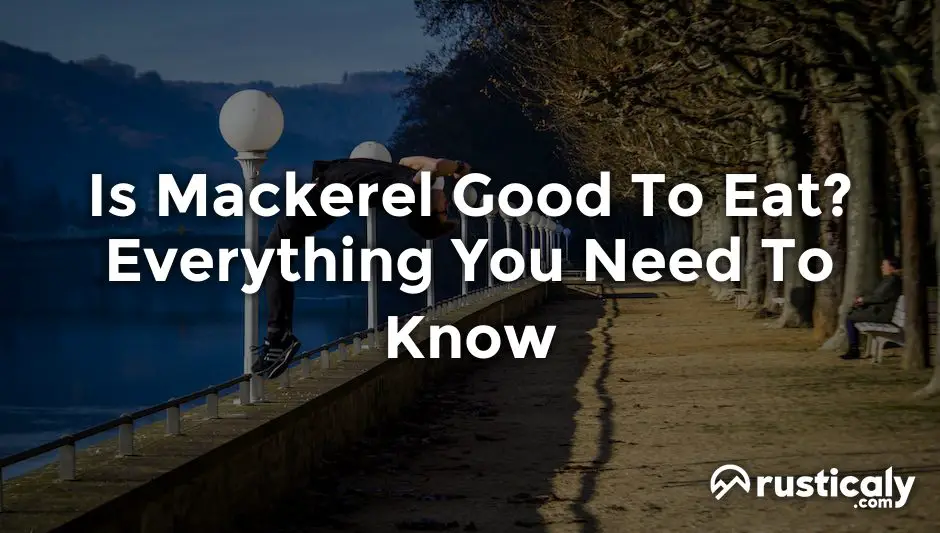 Is Mackerel Good To Eat? Everyone Should Know This!