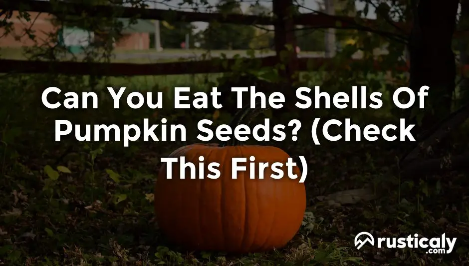 can you eat the shells of pumpkin seeds