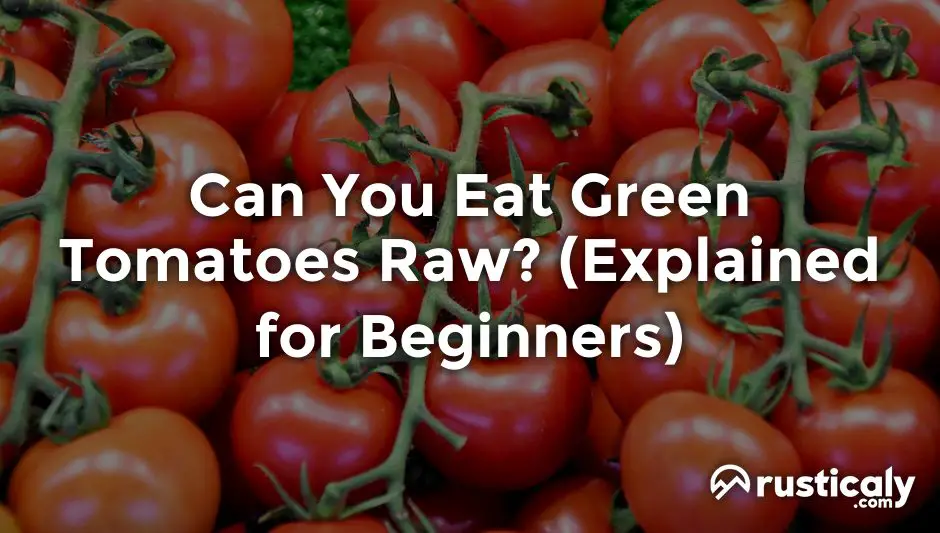 can you eat green tomatoes raw