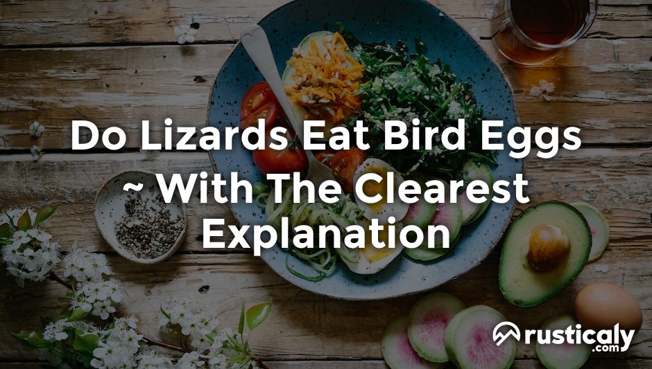 do lizards eat bird eggs