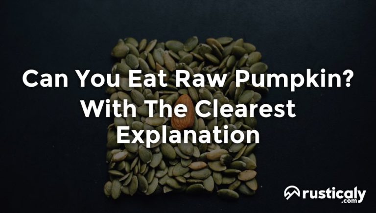 can you eat raw pumpkin