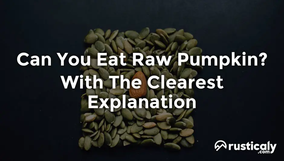 can you eat raw pumpkin