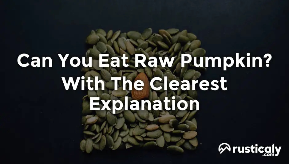 Can You Eat Raw Pumpkin Everyone Should Know This prison-paws-at-pelican-bay-give-dogs-second-chance