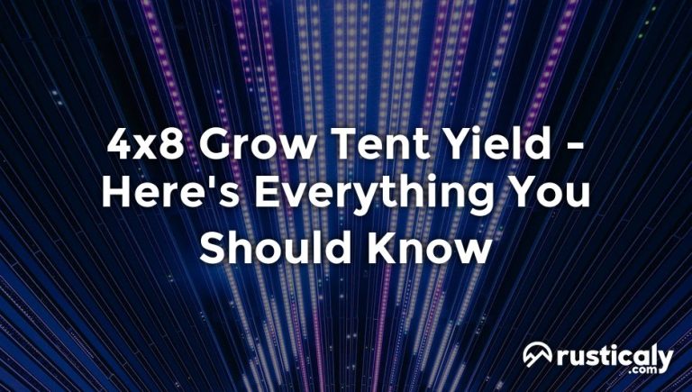 4x8 grow tent yield