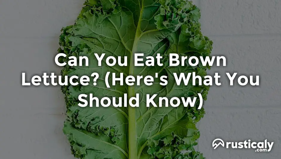 can you eat brown lettuce