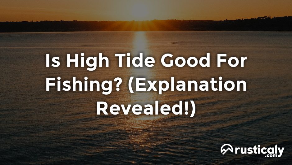 is high tide good for fishing