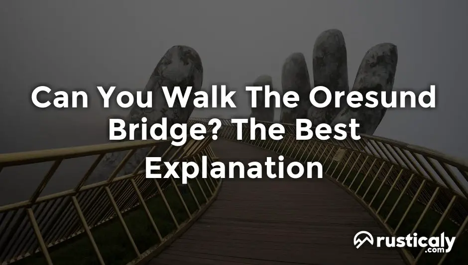 can you walk the oresund bridge