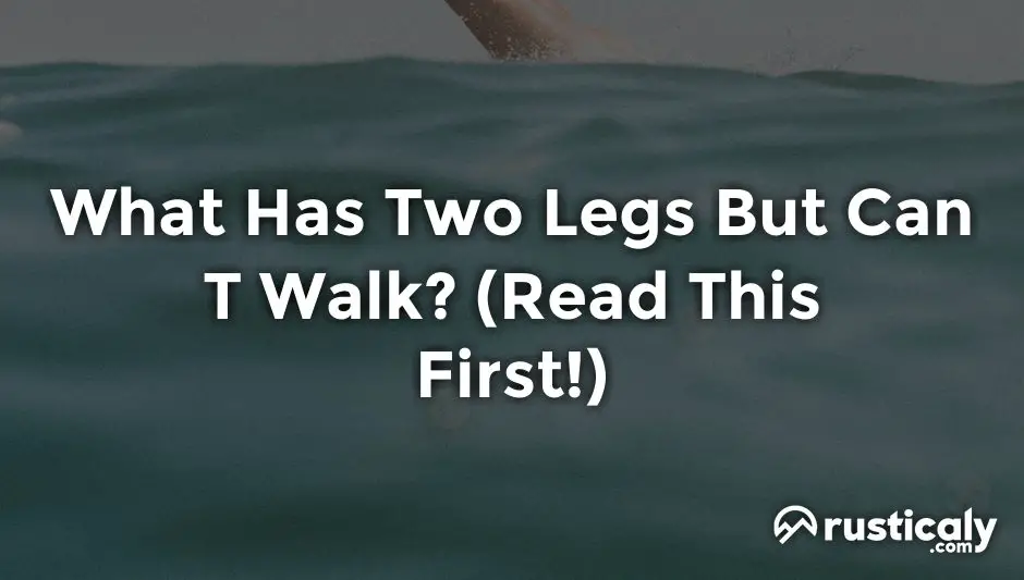 what has two legs but can t walk