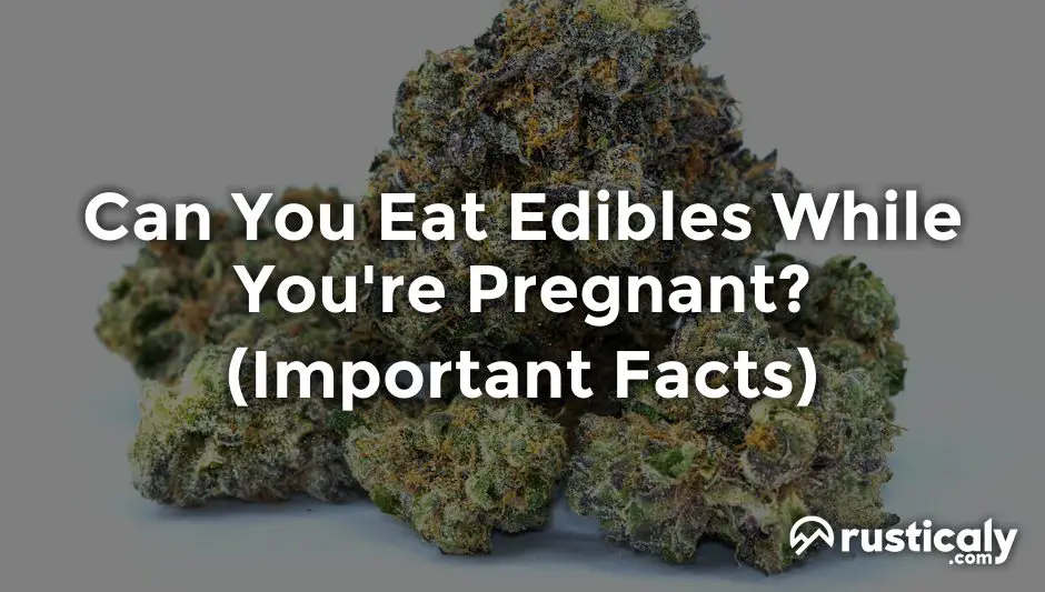 can you eat edibles while you're pregnant