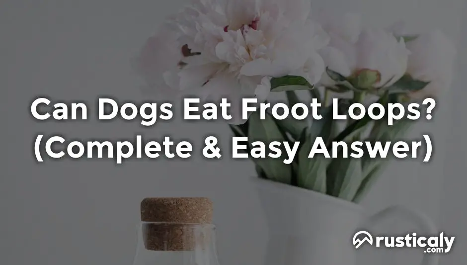 can dogs eat froot loops