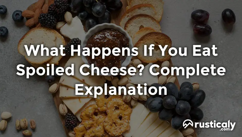 what happens if you eat spoiled cheese