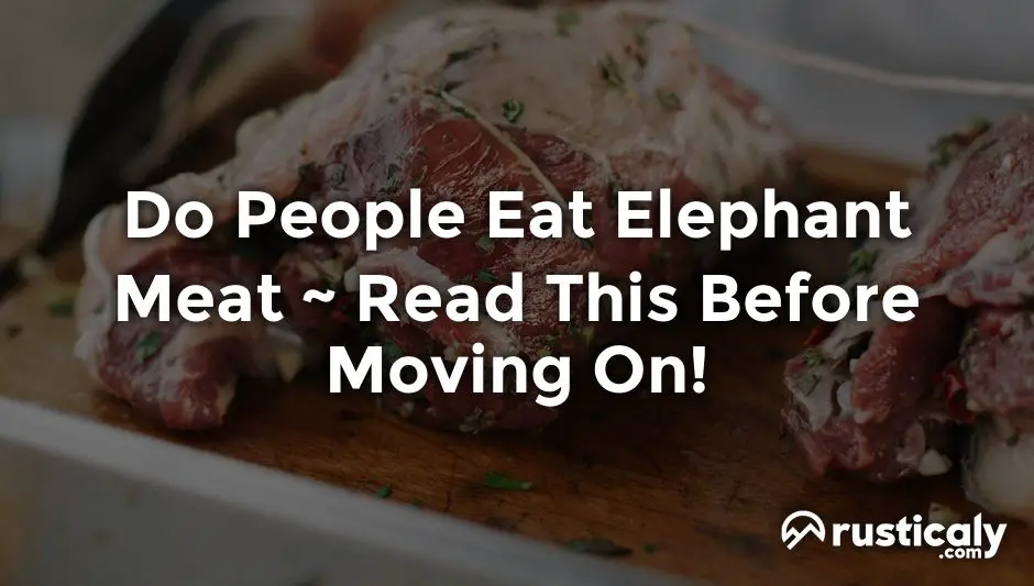 do people eat elephant meat
