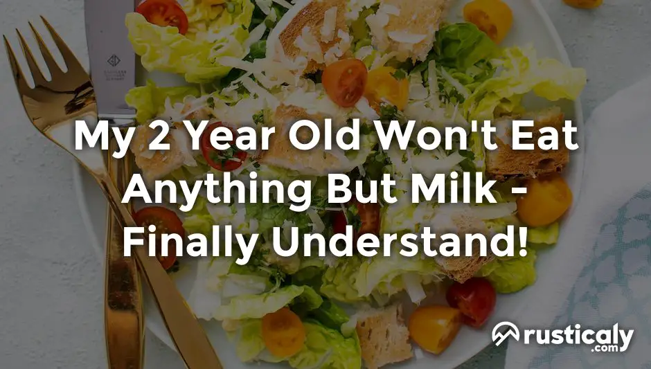 My 2 Year Old Won't Eat Anything But Milk ~ Answer Inside!