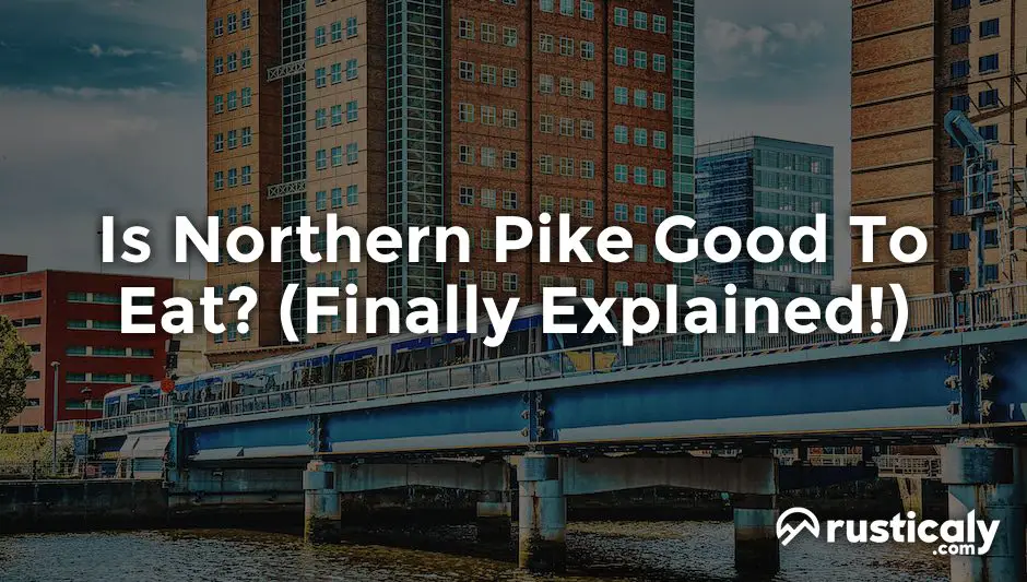 is northern pike good to eat