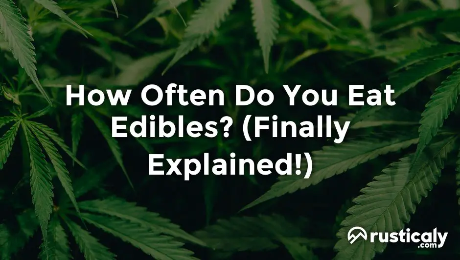 how often do you eat edibles