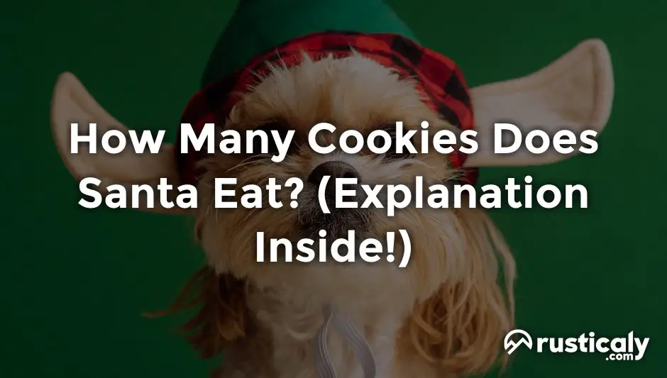 how many cookies does santa eat