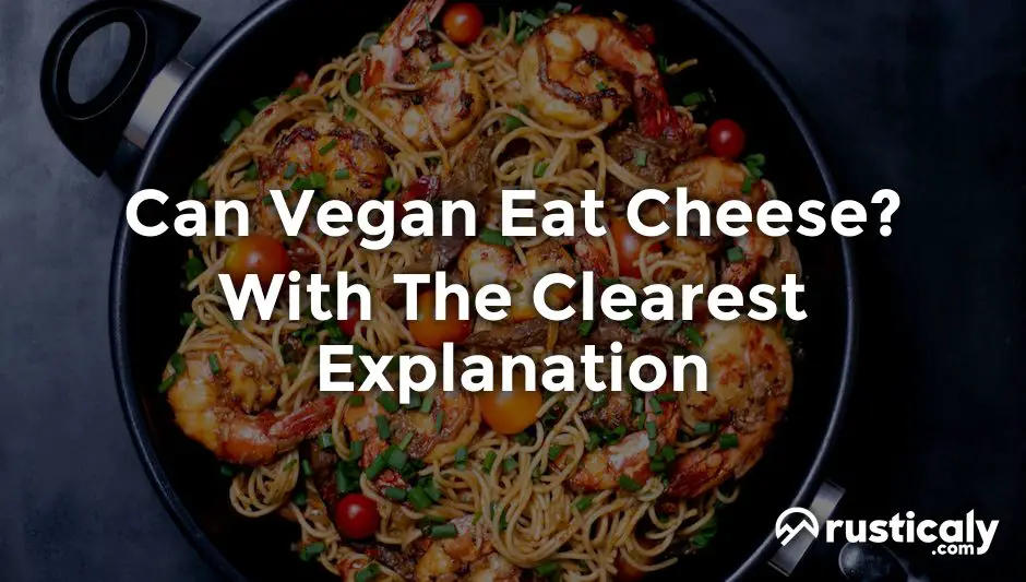 can vegan eat cheese
