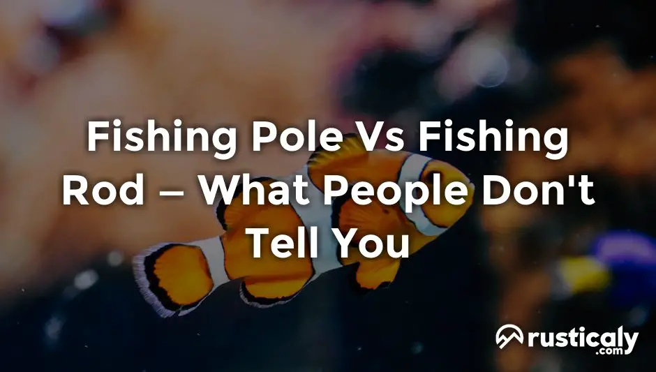 fishing pole vs fishing rod