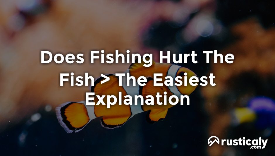 does fishing hurt the fish