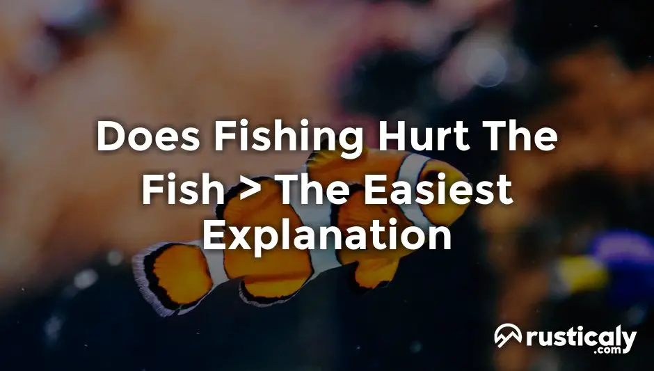 Does Fishing Hurt The Fish Read This Before Moving On!