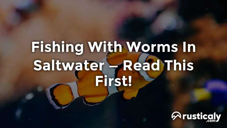 fishing with worms in saltwater
