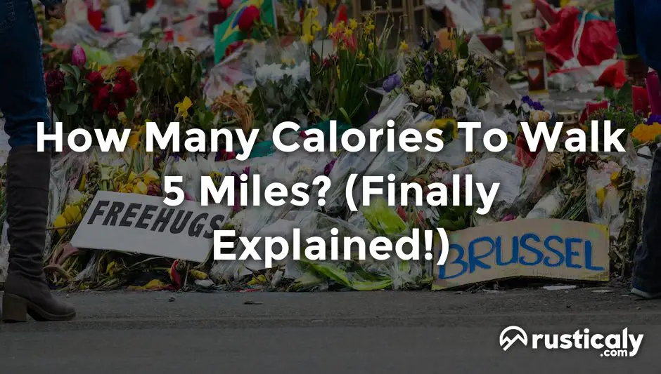 how many calories to walk 5 miles
