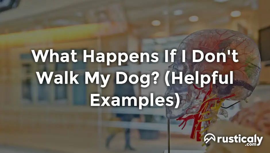 what happens if i don't walk my dog